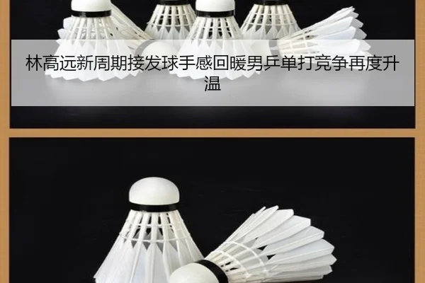 林高远新周期接发球手感回暖男乒单打竞争再度升温